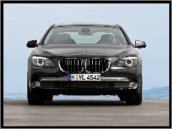 Grill, BMW seria 7 F01, Przód, Atrapa